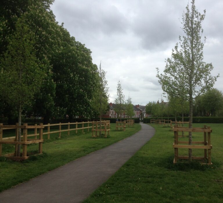 Bringing Lost Elms to Stoke Park Coventry