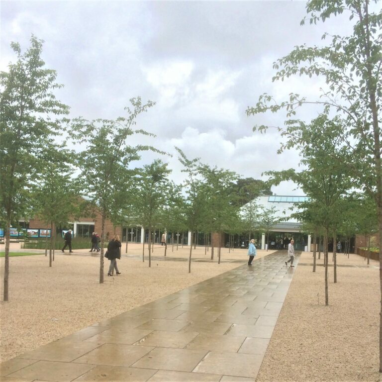 Hillier Trees Helps Create a Spectacular Welcome for Visitors to RHS Garden Wisley