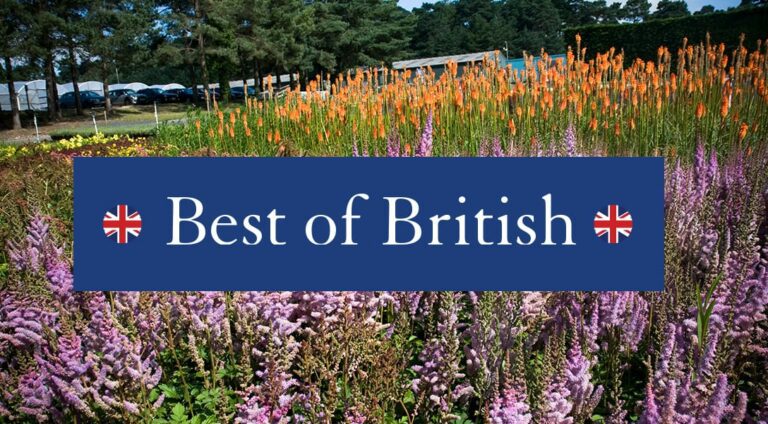Best of British at Hillier Garden Centres
