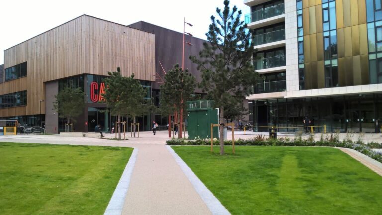 Hillier Trees Part of Major Project to Regenerate Elephant and Castle