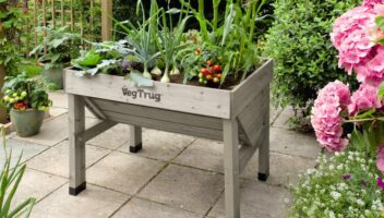 Garden & Home Ideas