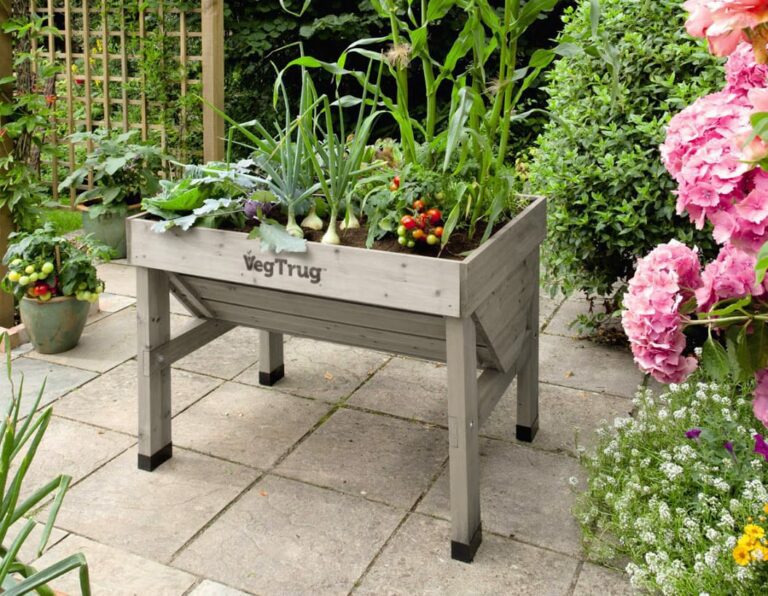 Successful Grow Your Own with VegTrug