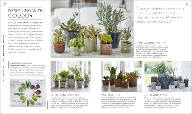 Designing with Colour with the RHS Practical Cactus & Succulent Book