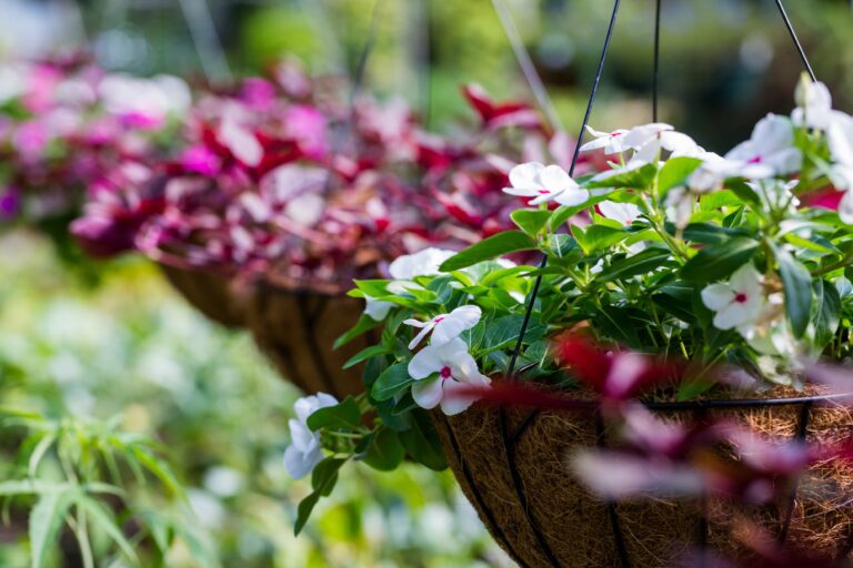 How to Plant a Hanging Basket