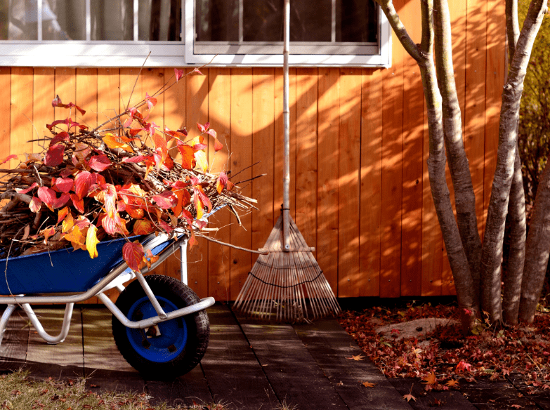 Hillier Gardening Club Hillier Garden Centres
