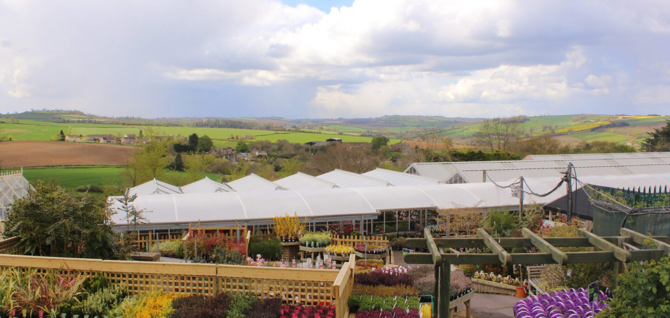 Hillier Garden Centre Bath crop Hillier