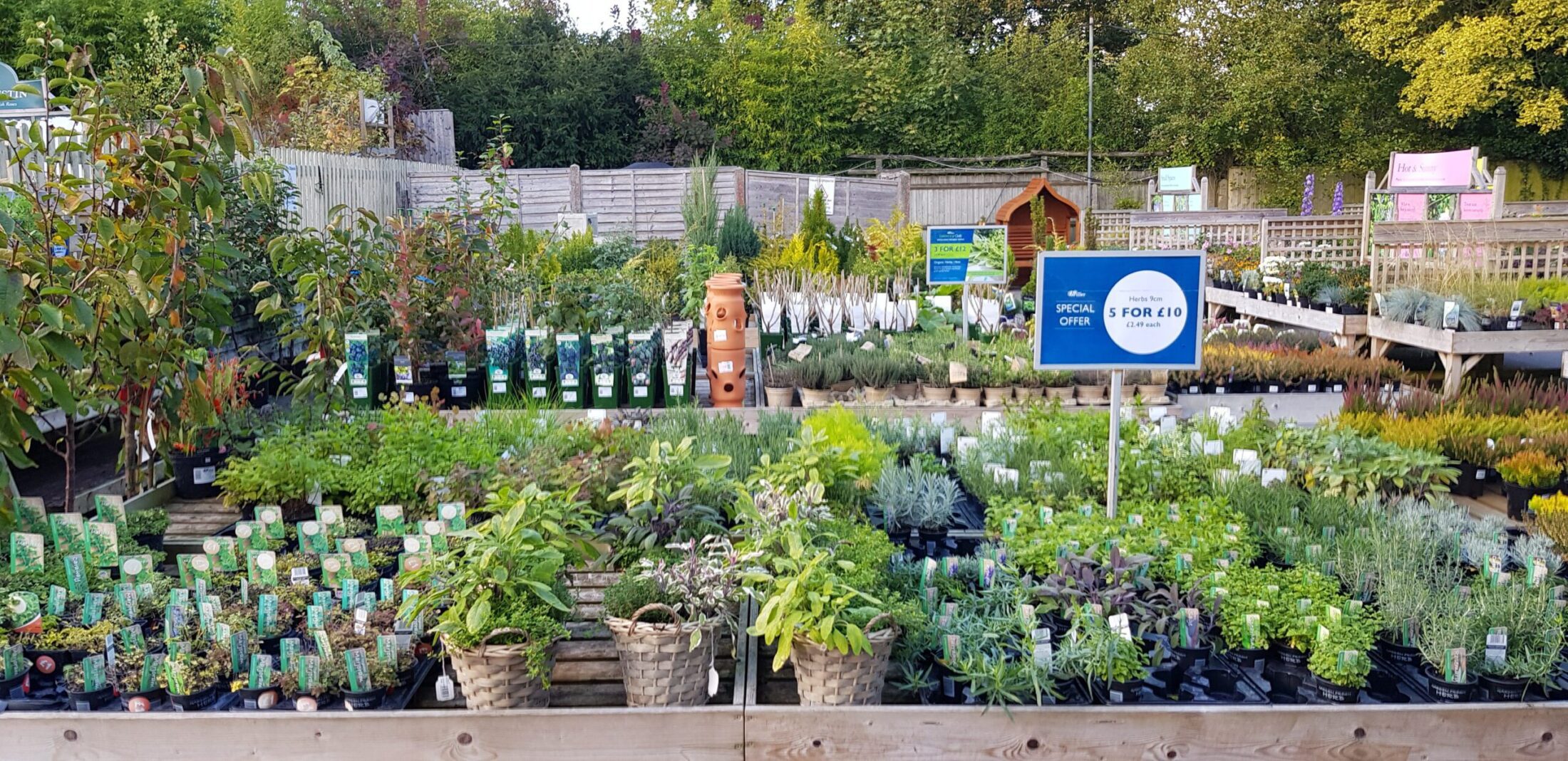 Hillier Garden Centre Winchester 6 Hillier