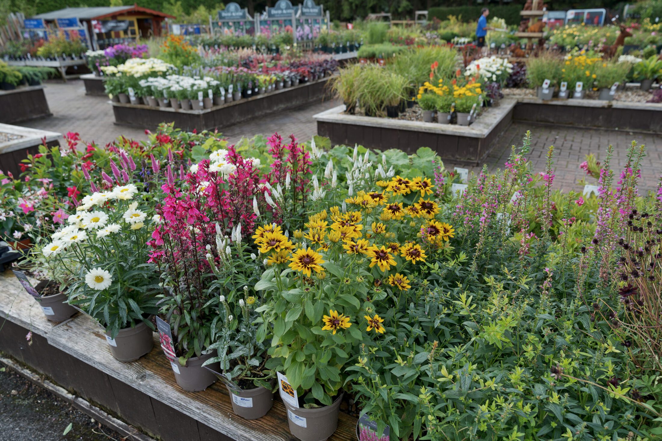 Hilliergardencentrebotleyplants Hillier