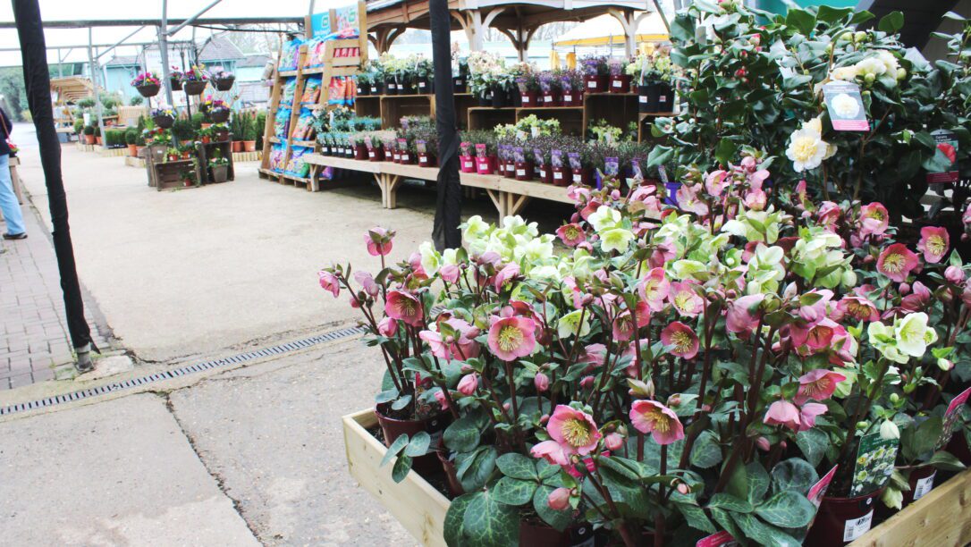 Horsham Garden Centre and Farm Shop Hillier Garden Centres