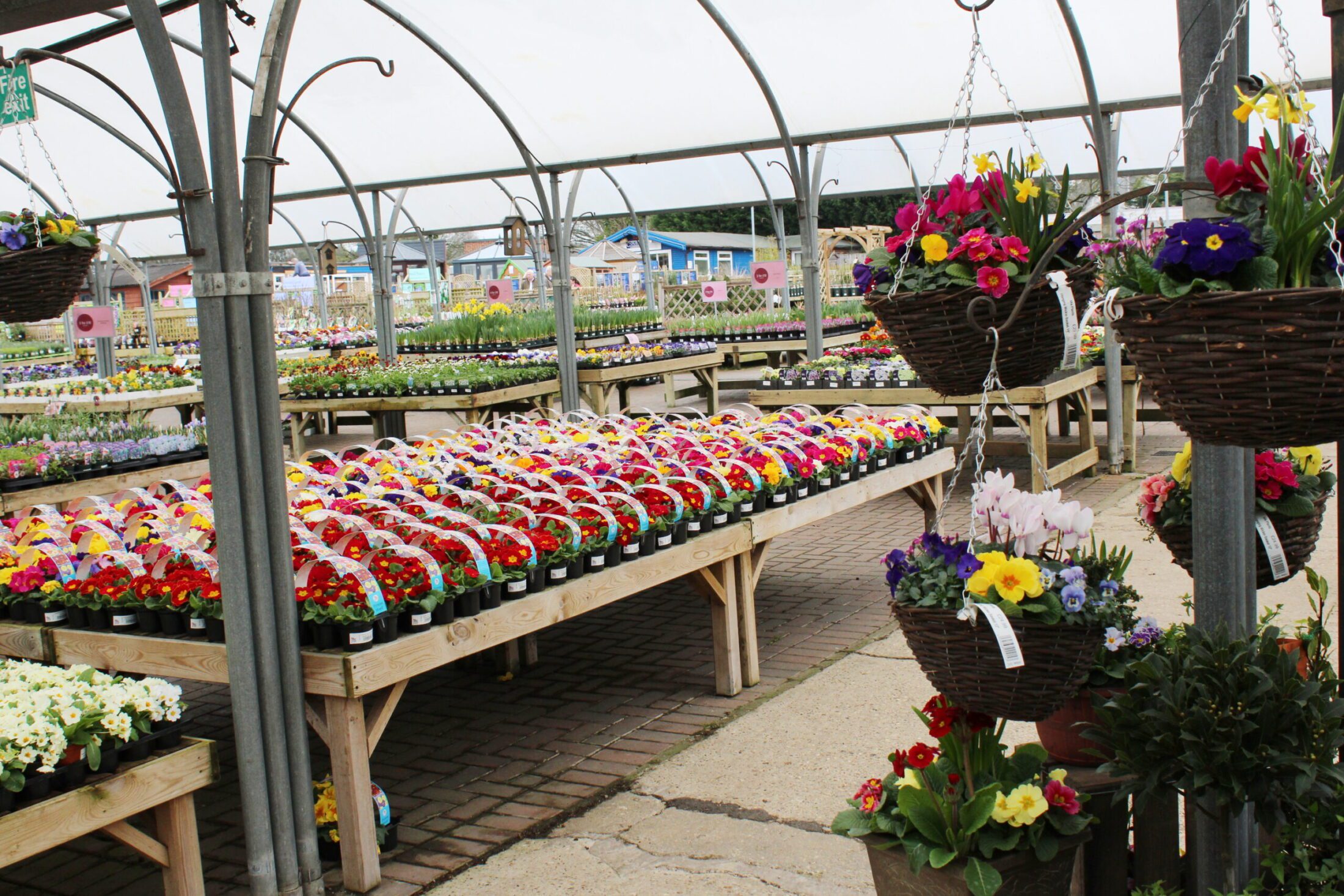 Hilliergardencentrehorshamoutsideplantdisplays Hillier