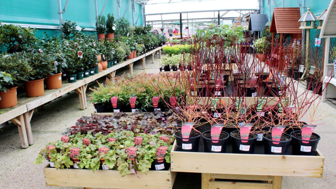 Horsham Garden Centre and Farm Shop Hillier Garden Centres