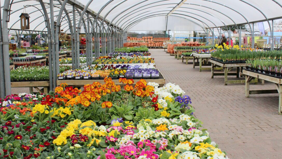 Garden Centre Christmas 2024 Uk Jessy Lucinda