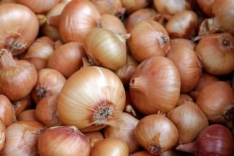 How to Grow and Harvest Onions