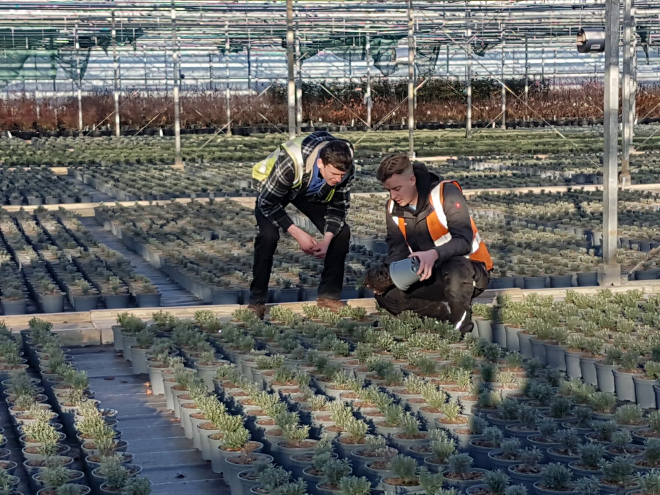 hilliernurserystaffglasshouse Hillier