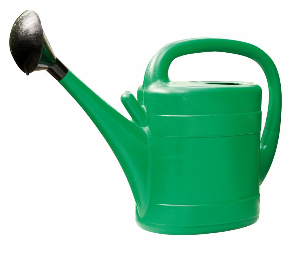 Plastic Watering Can – 10 Litre (Available in 2 Colours) 5024160836717