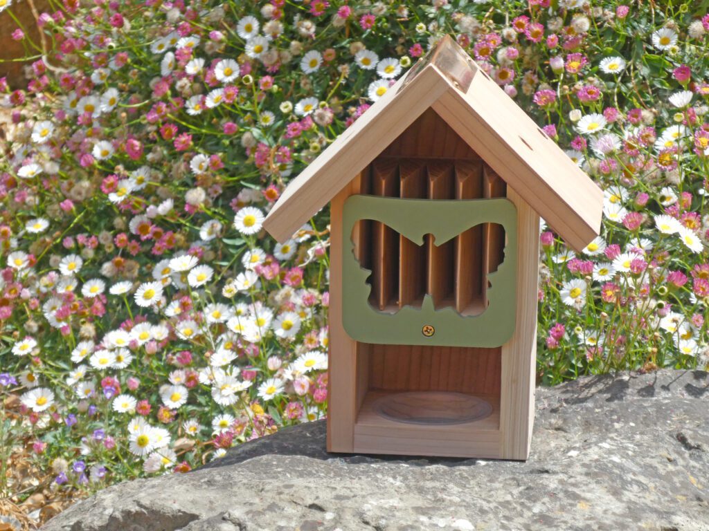 Butterfly Barn