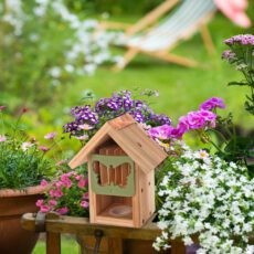 Butterfly Barn