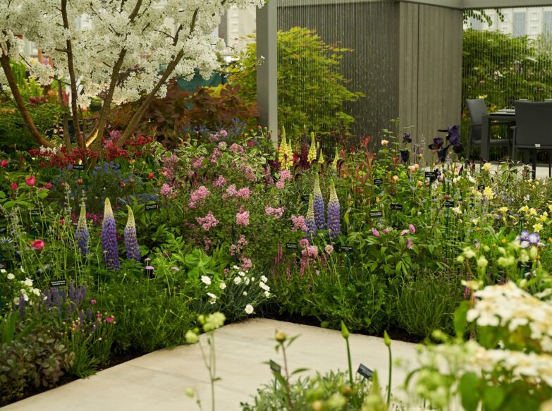 Chelsea Flower Show