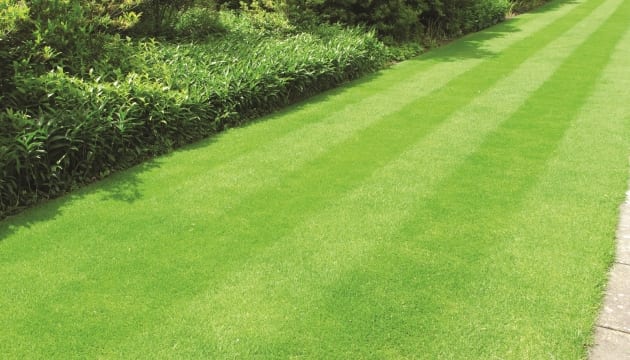 How To Make Your Lawn Perfect