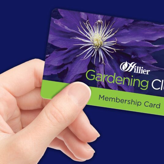 Join Our Gardening Club For Free