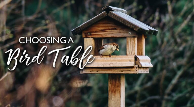 Bird Care | Choosing a Bird Table