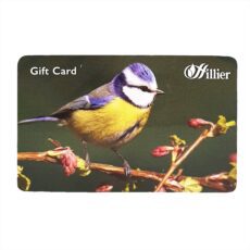 Hillier Gift Card – Blue Tit