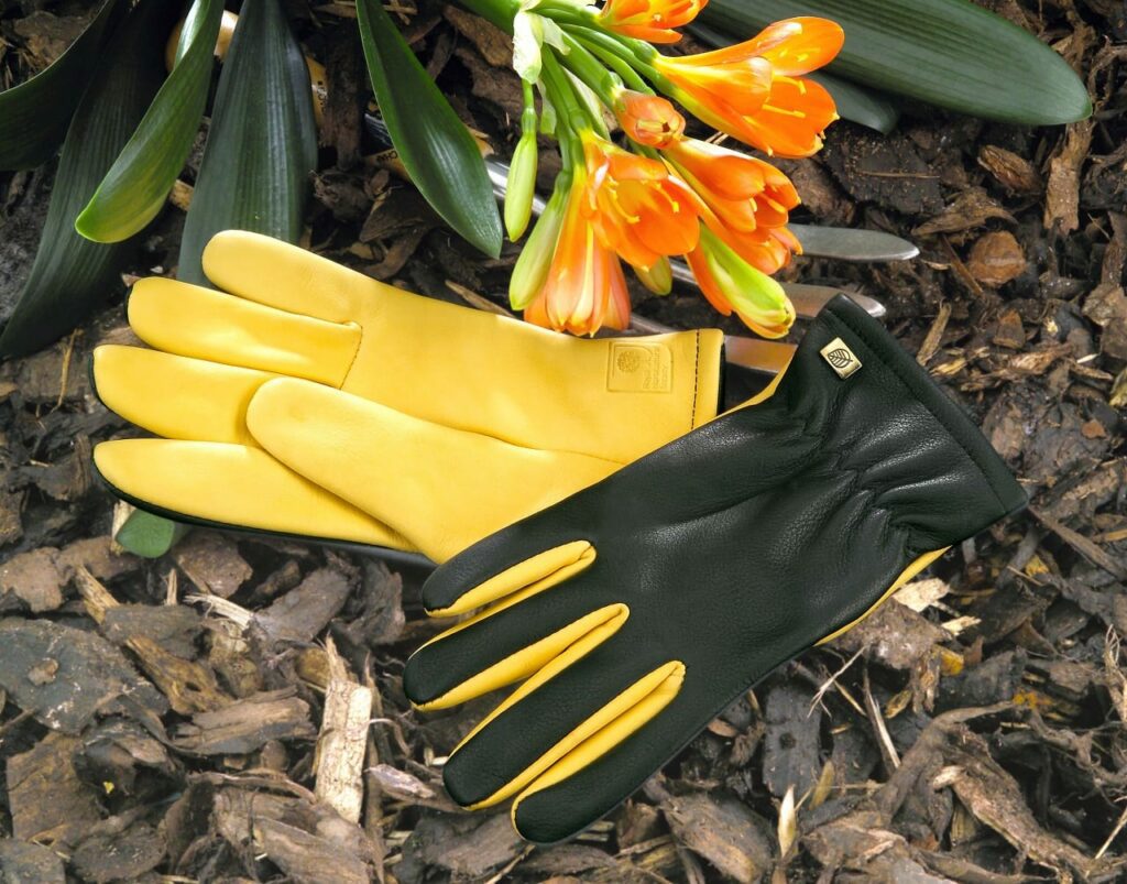 Dry Touch Gloves 5060080270019