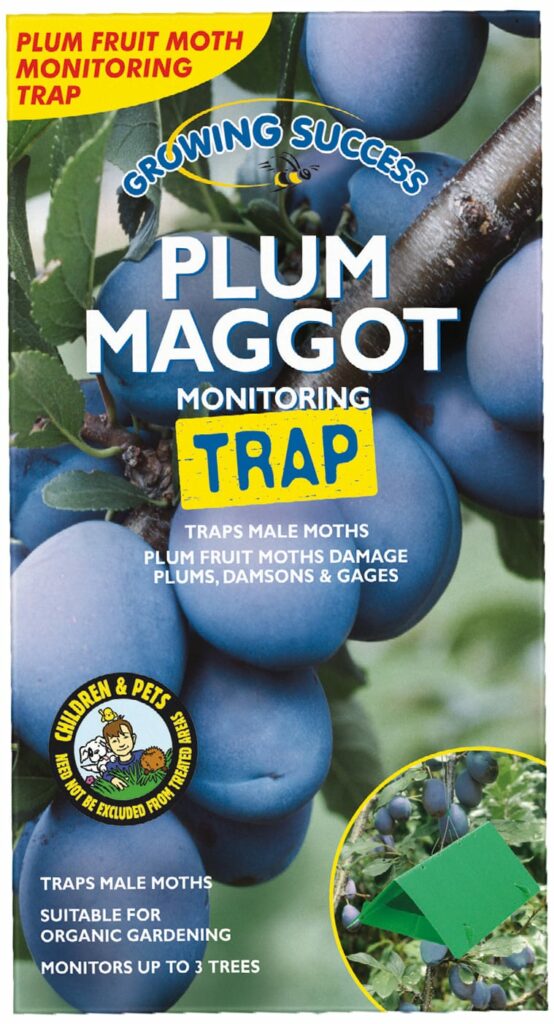 Growing Success Plum Maggot Control Trap 5017406060199