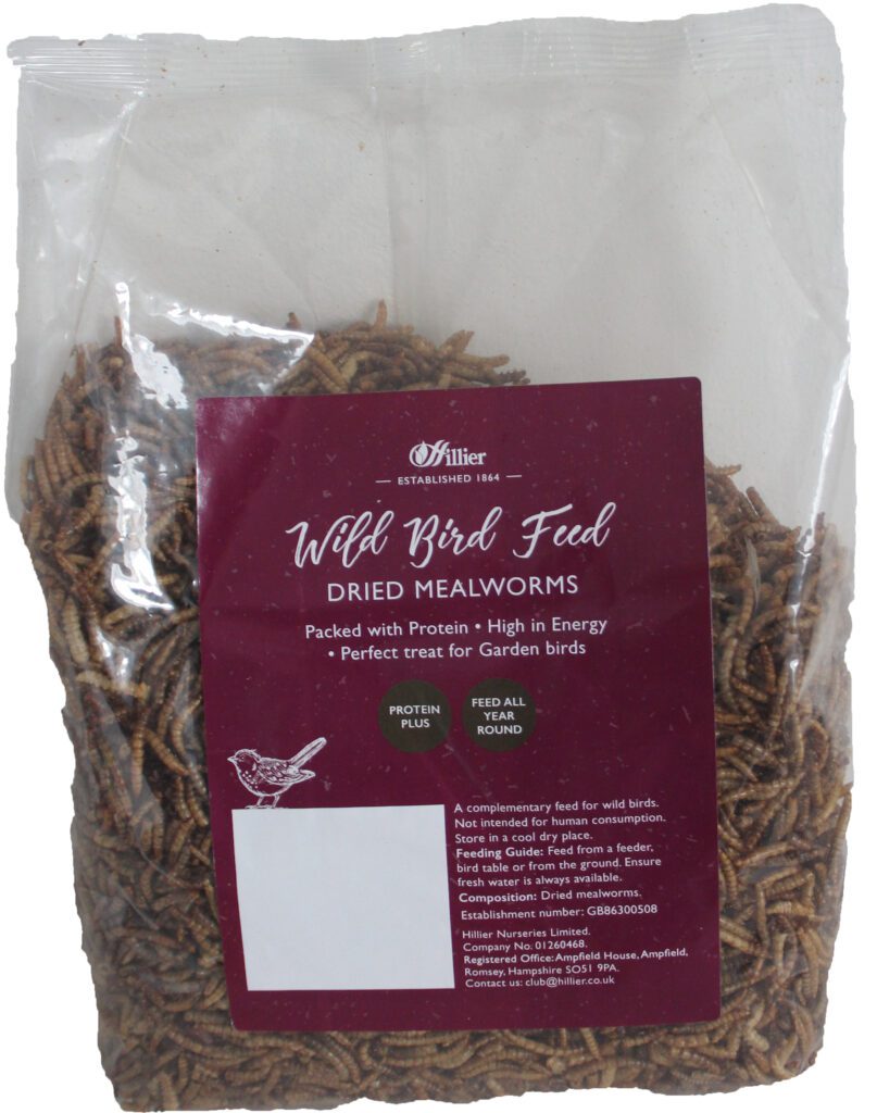 Hillier Dried Mealworm 500g