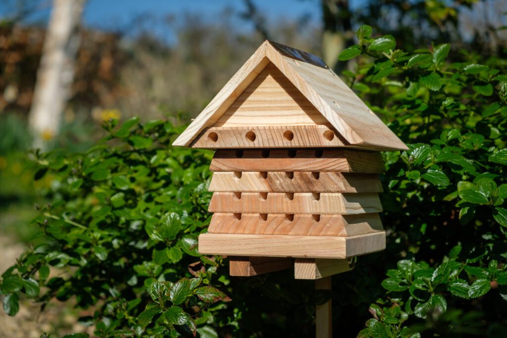 Interactive Solitary Bee Hive Flip Top 679505020846