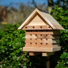 Interactive Solitary Bee Hive Flip Top