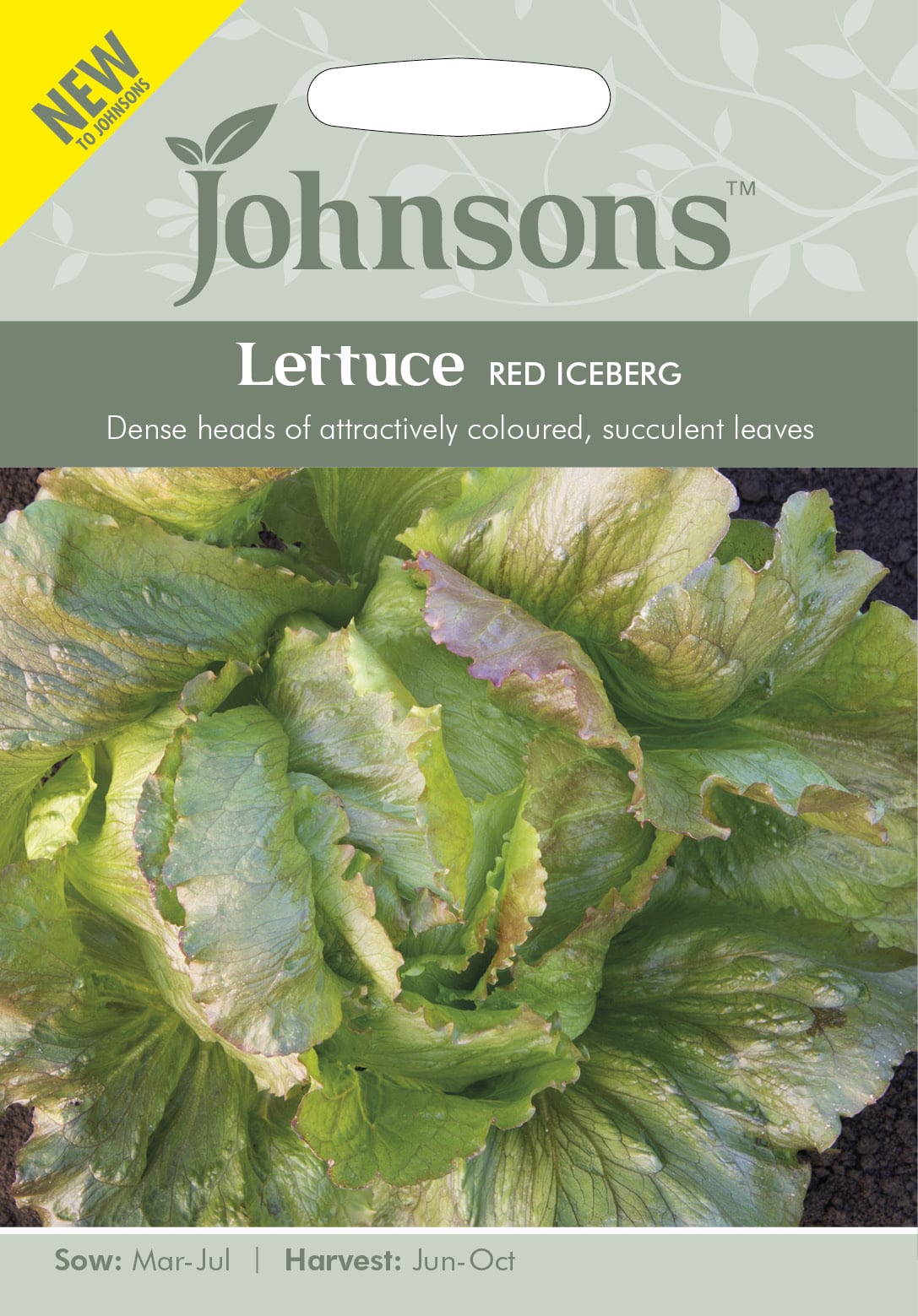 Johnsons Lettuce Red Iceberg Seeds Hillier