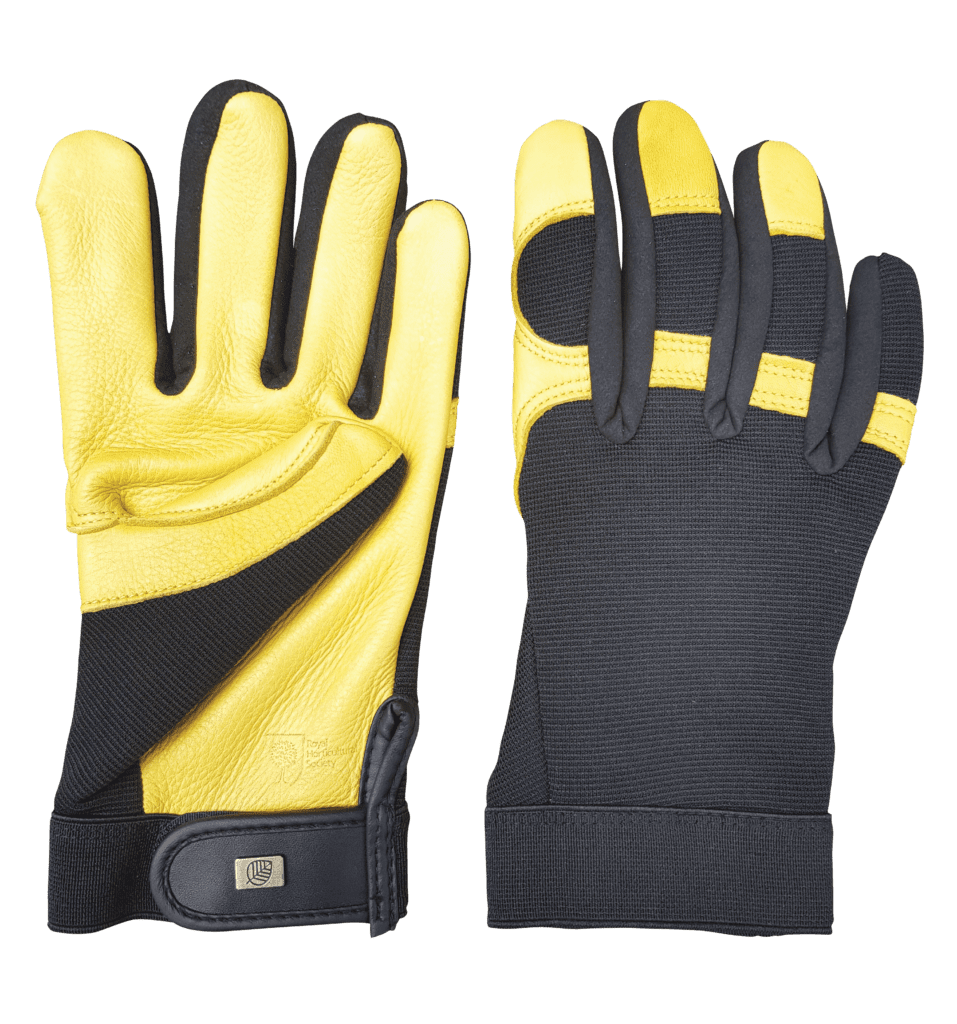 Soft Touch Gloves
