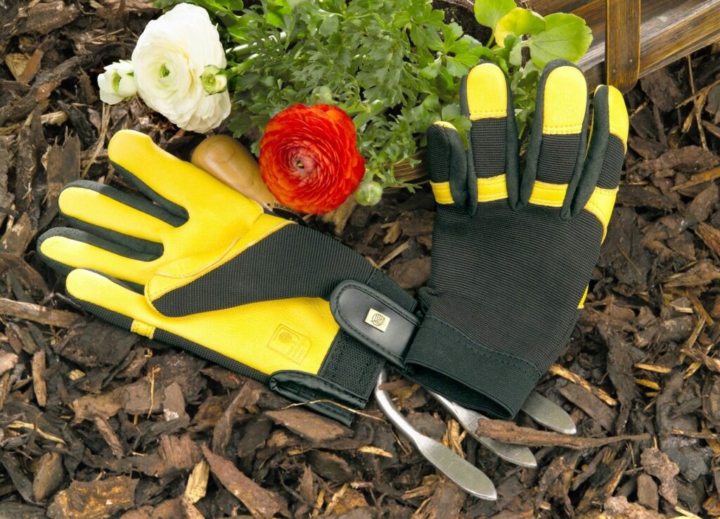 Soft Touch Gloves