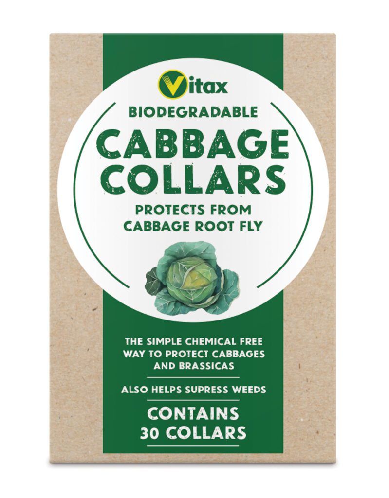 Cabbage Collars 30pk 5012351040104