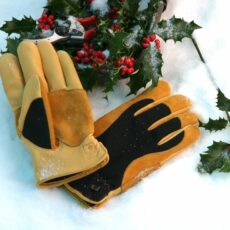 Winter Touch Gloves