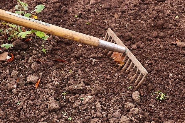 rake in ground