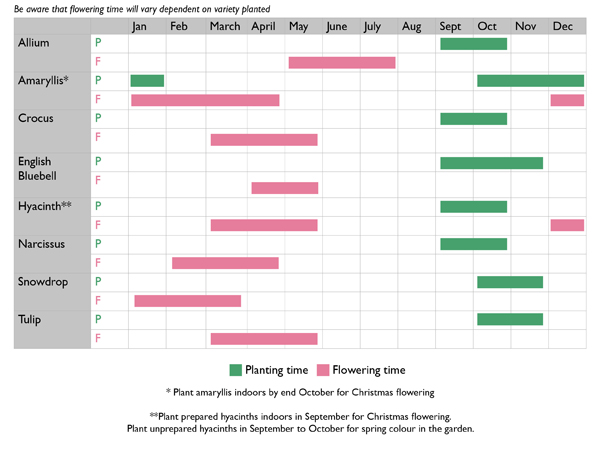 list of bulbs to plant in autumn