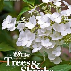 The Hillier Manual of Trees & Shrubs 2019