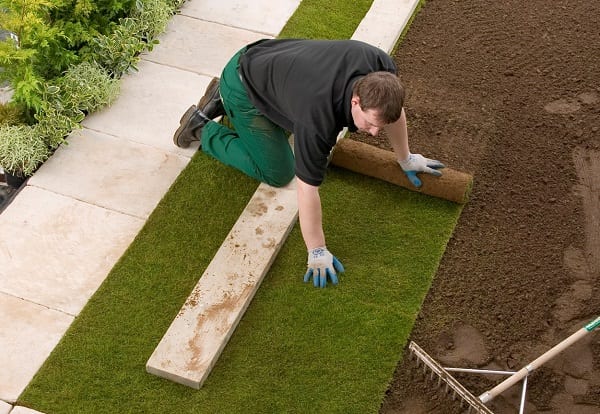 Man laying Turf