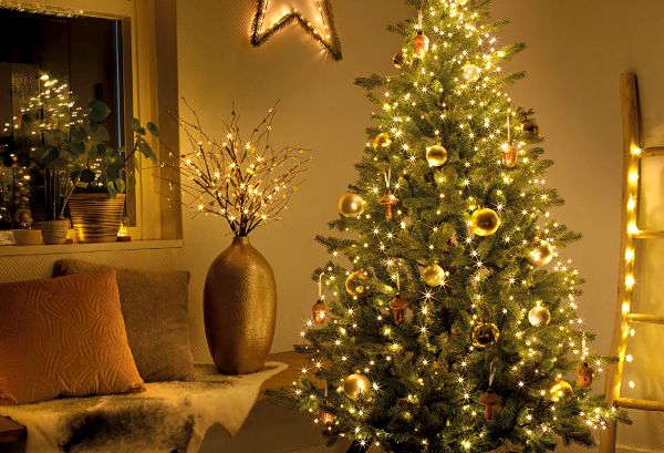 vreugde Doe mee Forensische geneeskunde Guide to Christmas Lights | Hillier