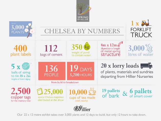 Chelsea By Numbers