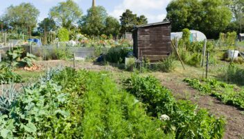 Garden & Home Ideas