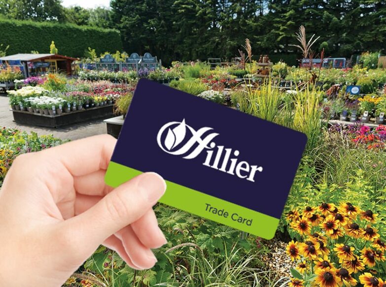 Hillier Trade Accounts