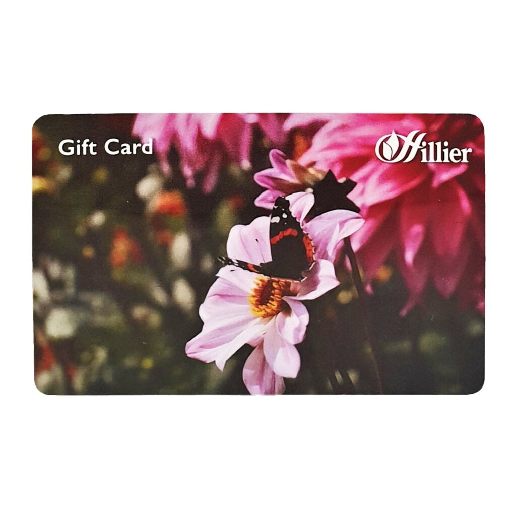 Hillier Gift Card – Butterfly 00360506