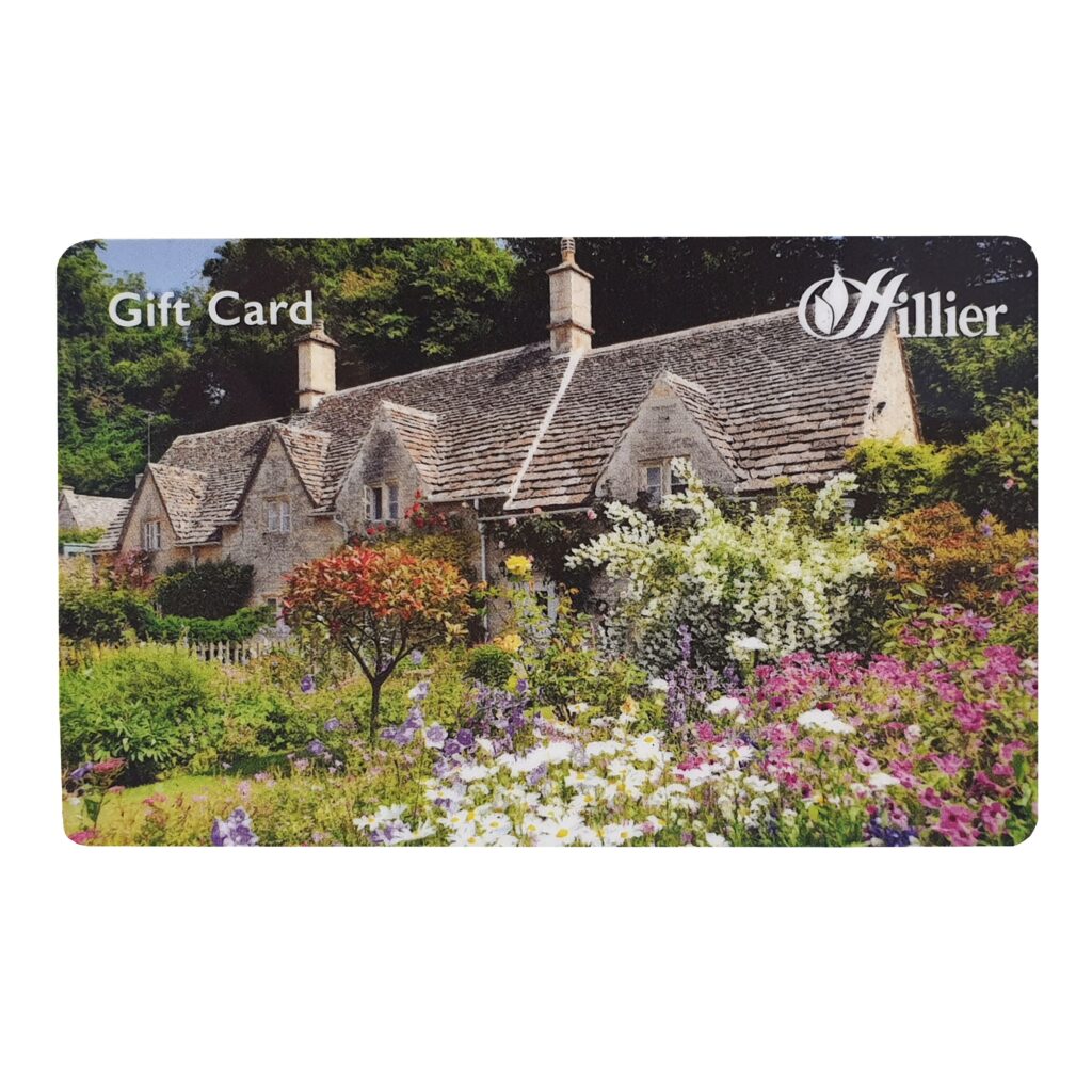 Hillier Gift Card – Cottage 00360507