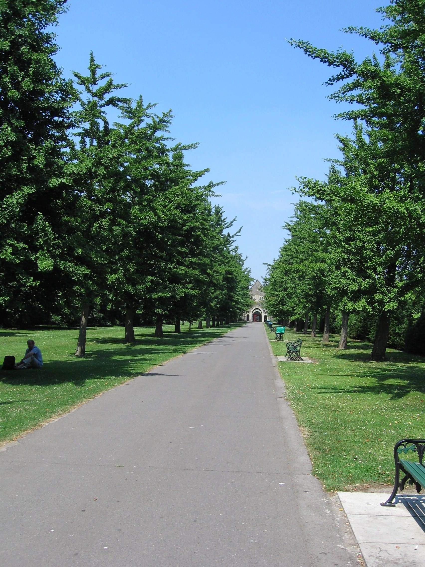 droughttoleranttrees Hillier