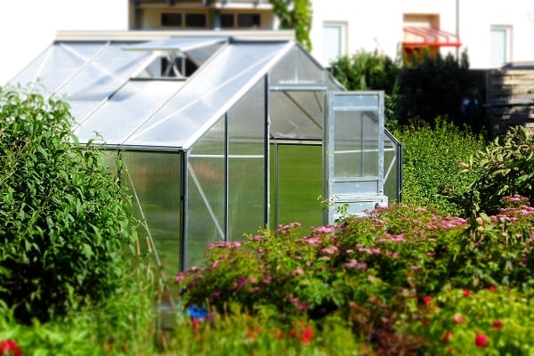 Greenhouse allotment garden