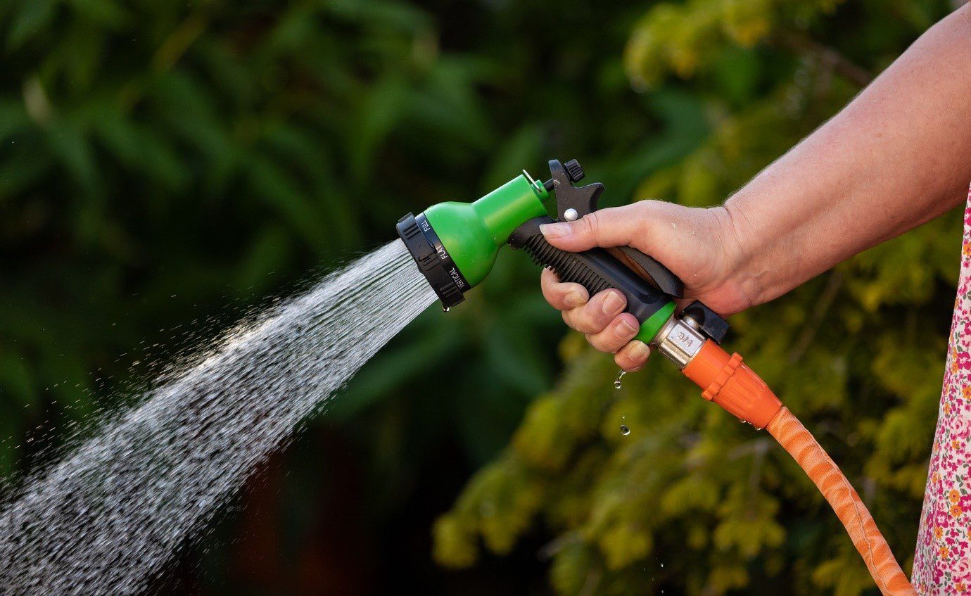 regularly watering when growin in the garden