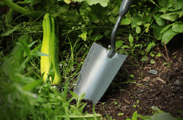 grow your own tools needed